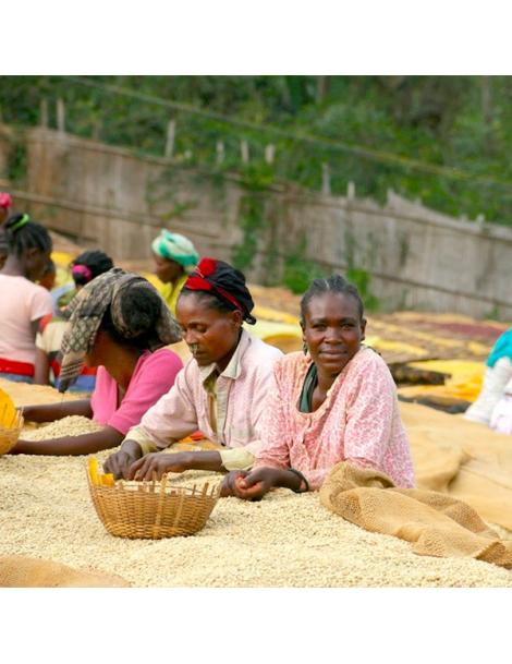 La Boutique del Café - Café de Etiopía Hunda Oli
