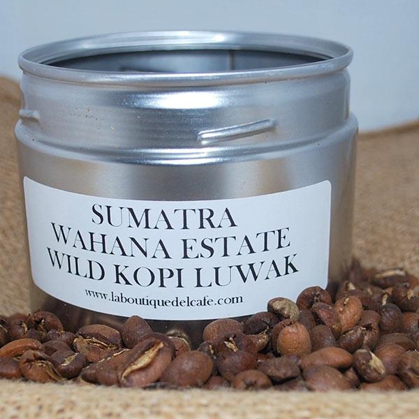 La Boutique del Café - Sumatra Wahana Estate Wild Kopi Luwak