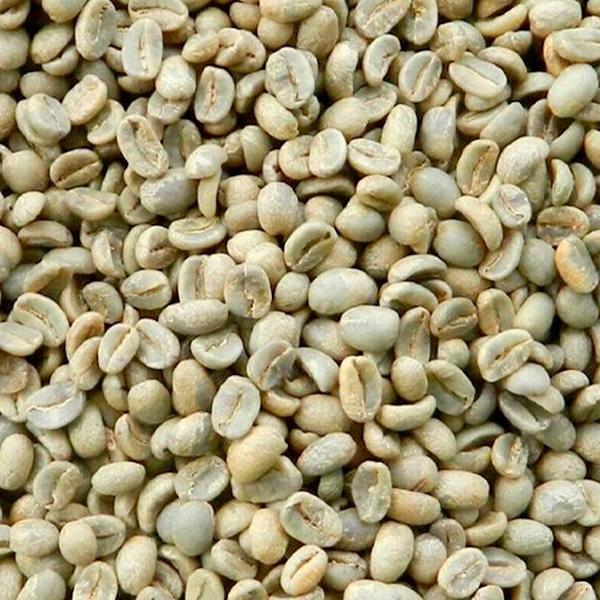 La Boutique del Café - Granos de café verde