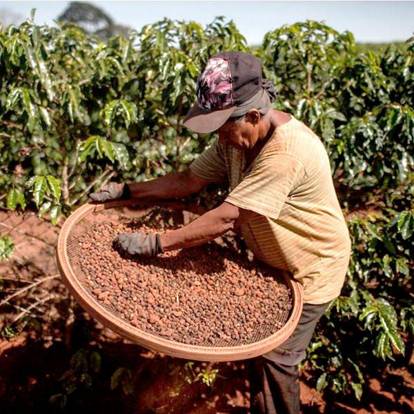 La Boutique del Café - Brasil Sul de Minas