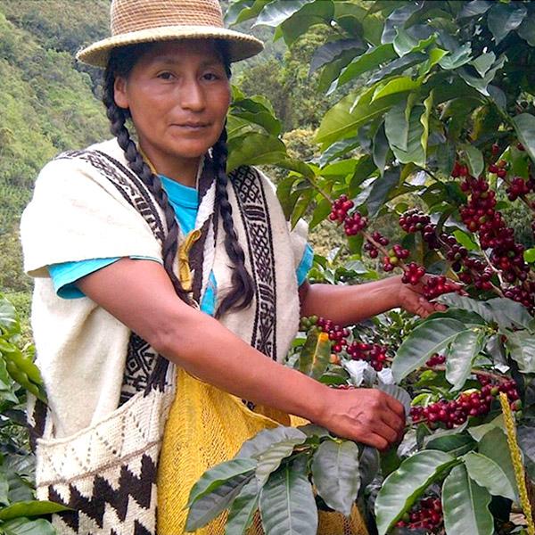 La Boutique del Café - Colombia Orgánico