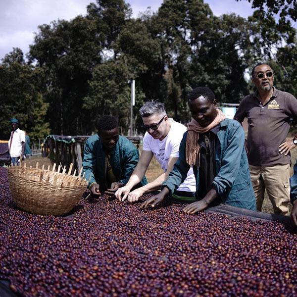 La Boutique del Café - Etiopía Moka