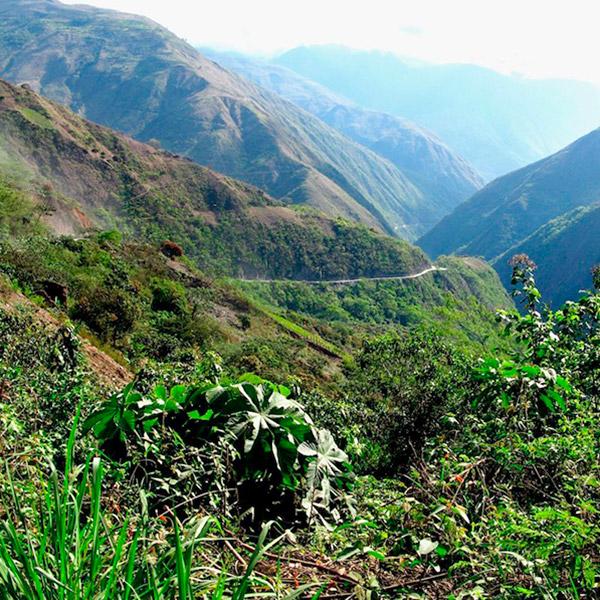 La Boutique del Café - Bolivia Orgánico