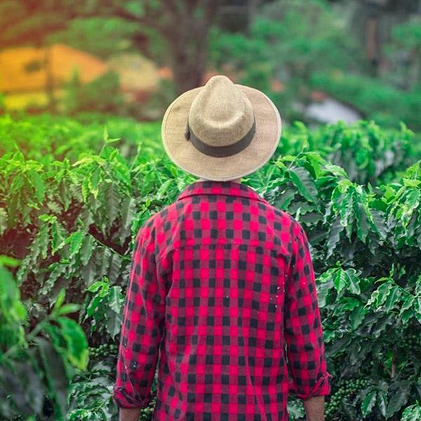 La Boutique del Café - Puerto Rico Yauco