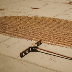 Guatemala Finca San Miguel...