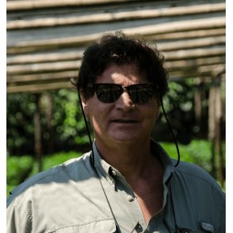 Guatemala Meissa Pampojilá...