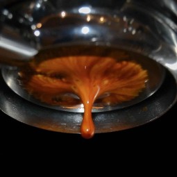 Coupage Espresso Frutal