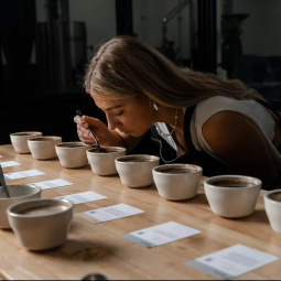 Coupage Espresso Connoisseur